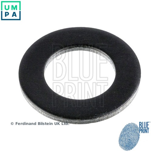 Seal ring oil - oil, plug