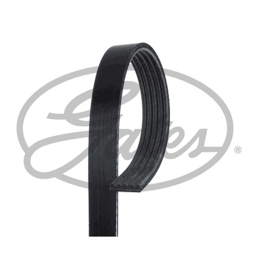 Rib multi drive - belt, for